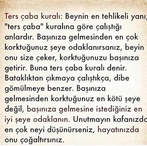 47687212_2244649178912969_8636829836666470400_o[1]