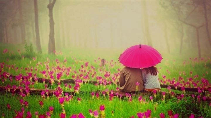 ANETTE İNSELBERG NASIL SEVECEĞİNİ BİLMEMEK