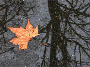 anette inselberg rahibe terasa