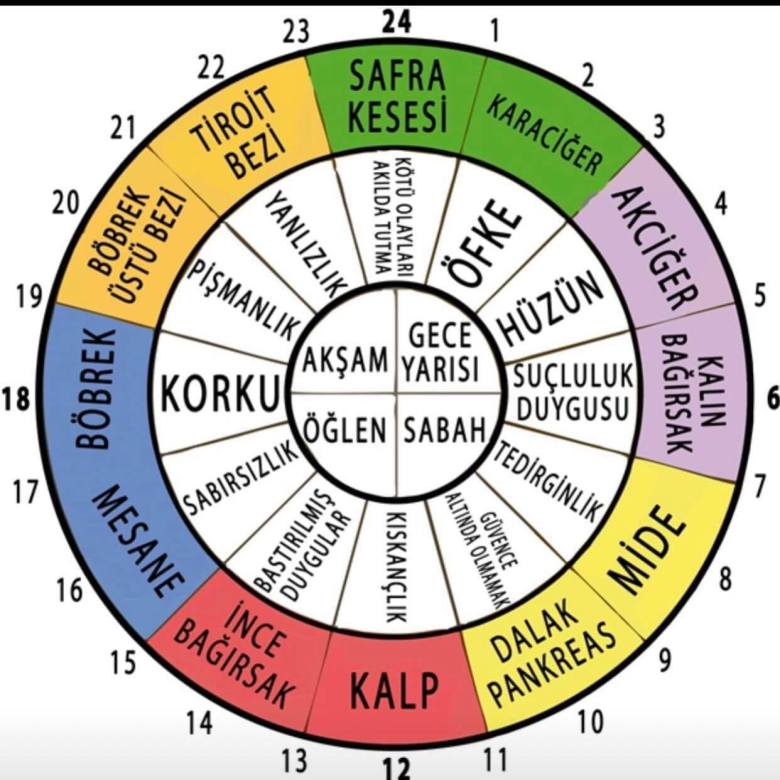 49536033_224606401776903_7641231549593026560_n[1]