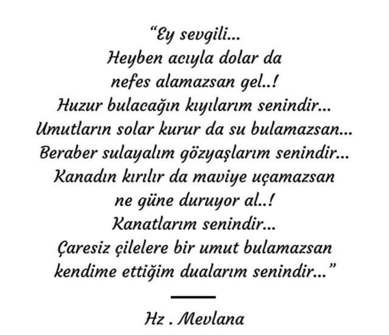 49789451_1971510039628635_5196680707539206144_n[1]