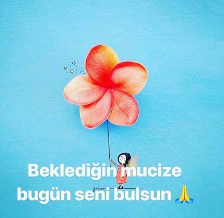 anette inselberg mucize