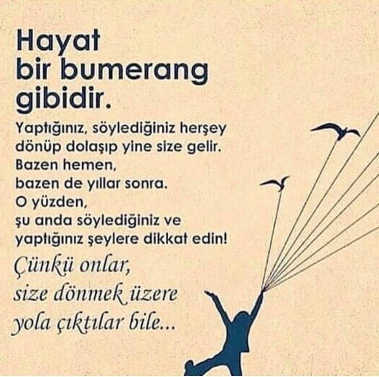 51712167_374853026446882_2975795106377891840_n[1]