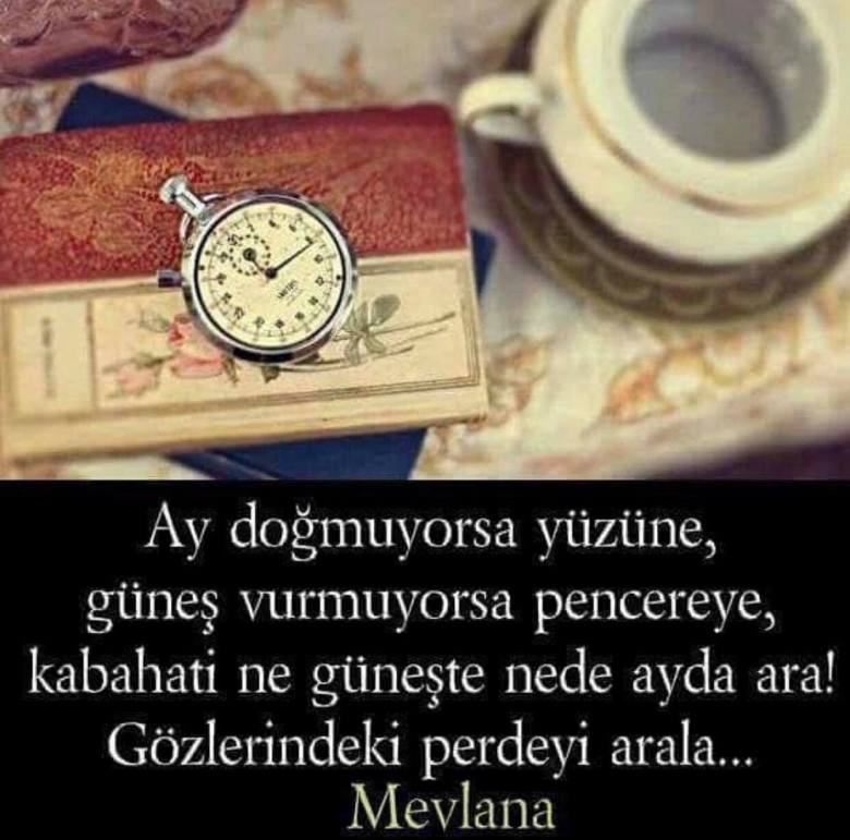 52141189_2236152546603338_8264397262331838464_n[1]