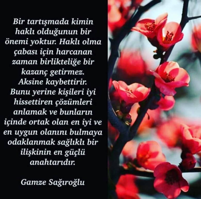 52666790_782401868803955_302130986265608192_n[1]