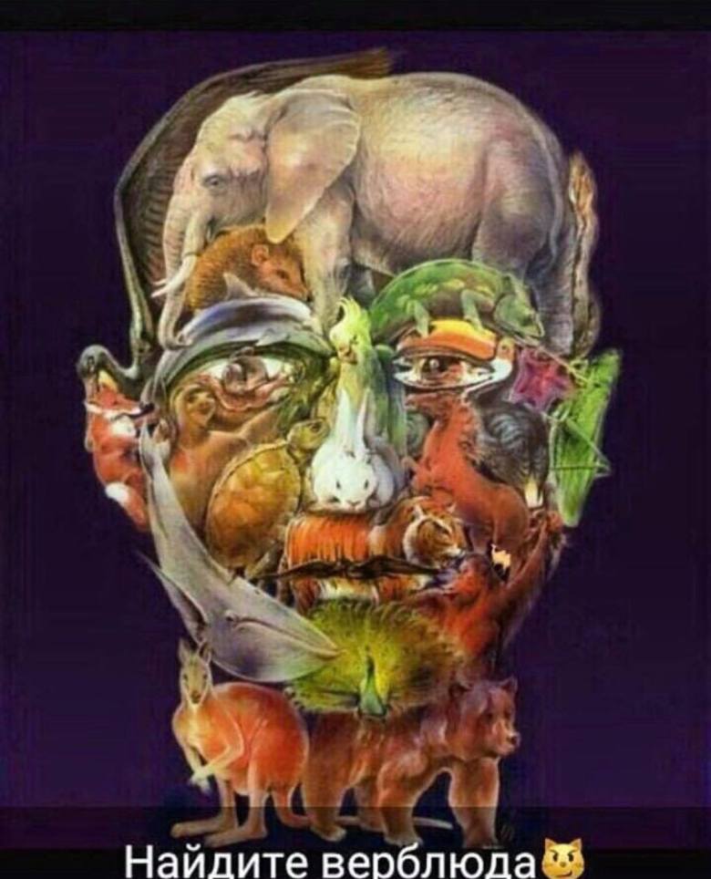 53023819_331807597469002_6726038791217217536_n[1]