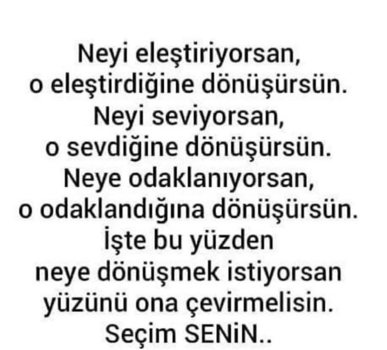 anette inselberg dönüşmek