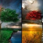 anette inselberg dört&nbsp;mevsim