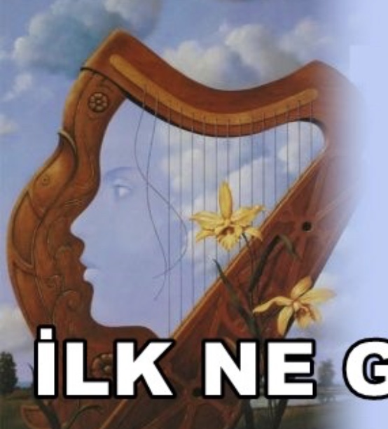 anette inselberg dolunay