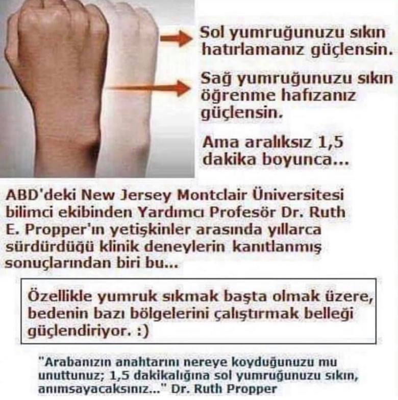 anette inselberg hafıza