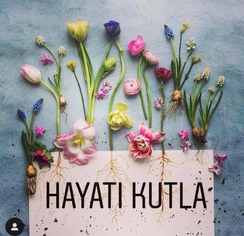 53611009_2390578964286568_4639934087052656640_n[1]