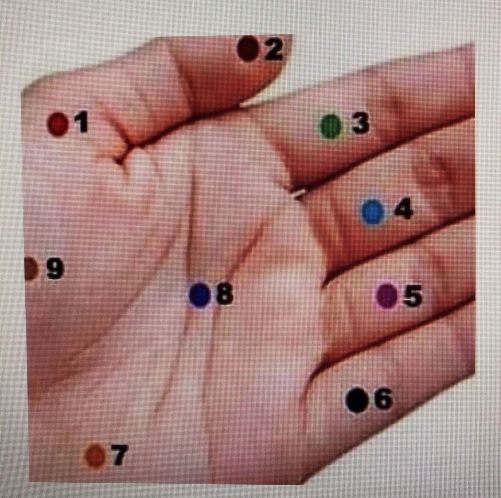 56281541_1257920301042142_2511887798882009088_n[1]