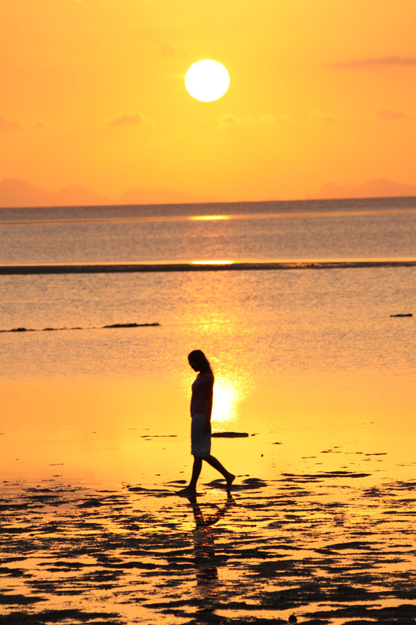 ANETTE İNSELBERG SESSİZLİK