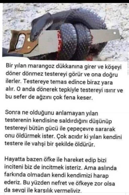 anette inselberg öfke yerine sevgi