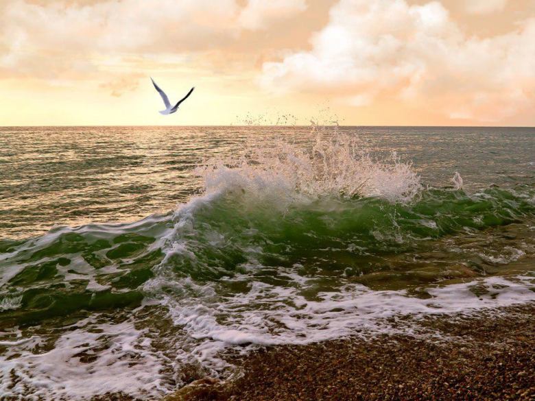 anette inselberg hayat