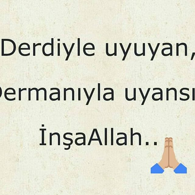 46224551_566904557082941_2446735537741048237_n[1]