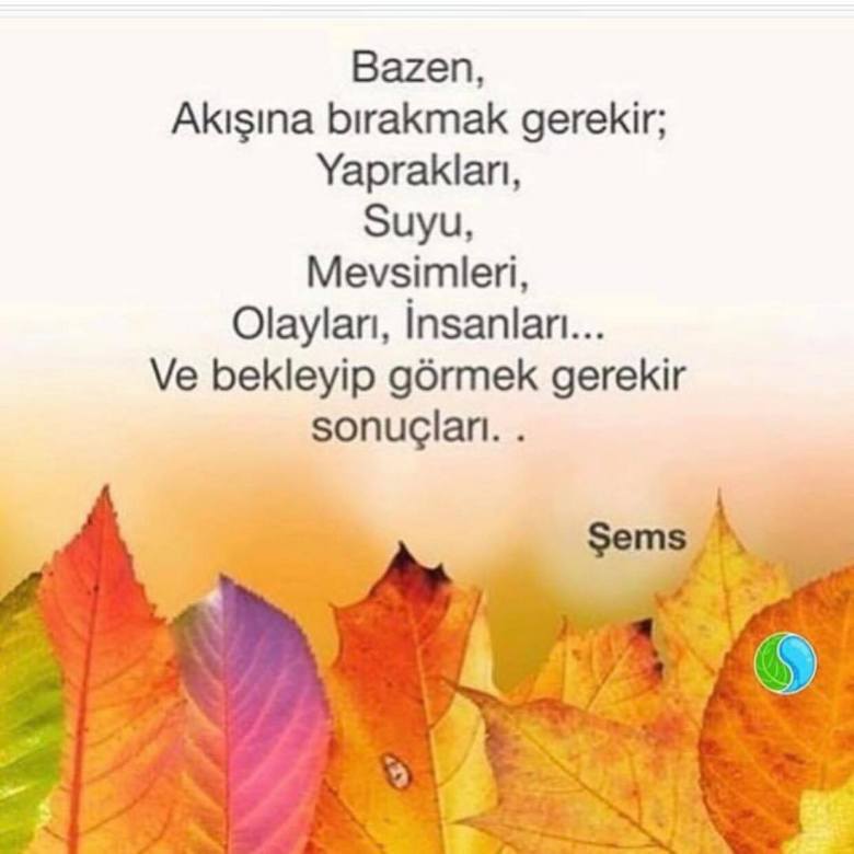 56319245_423170331570425_2624437721816367104_n[1]