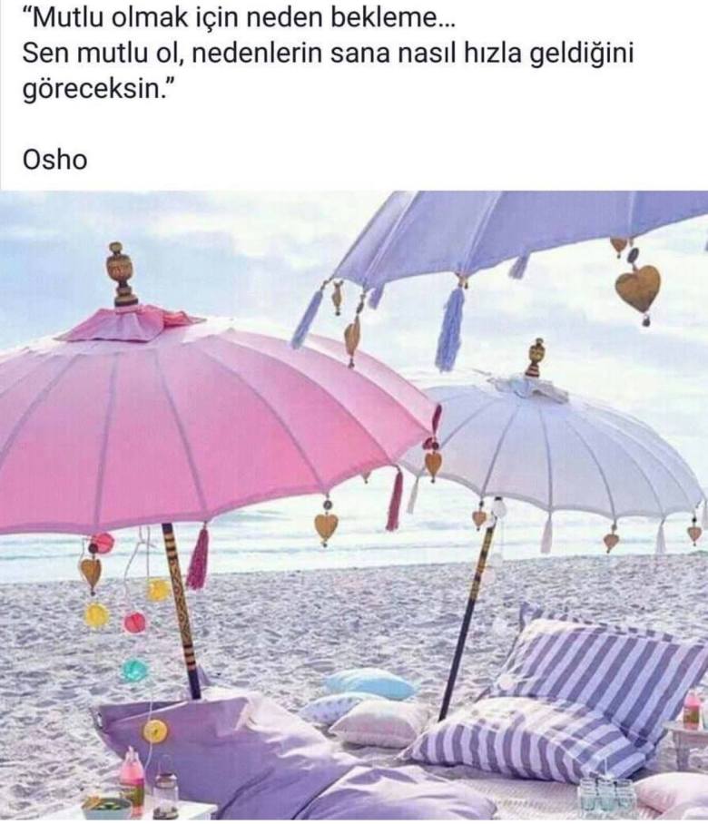 57599660_326785287985375_8222520768555122688_n[1]