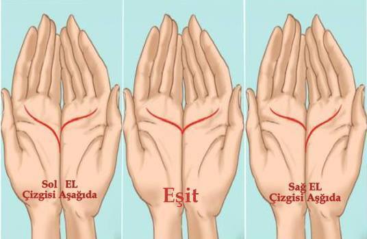 anette inselberg şifa el çigiler