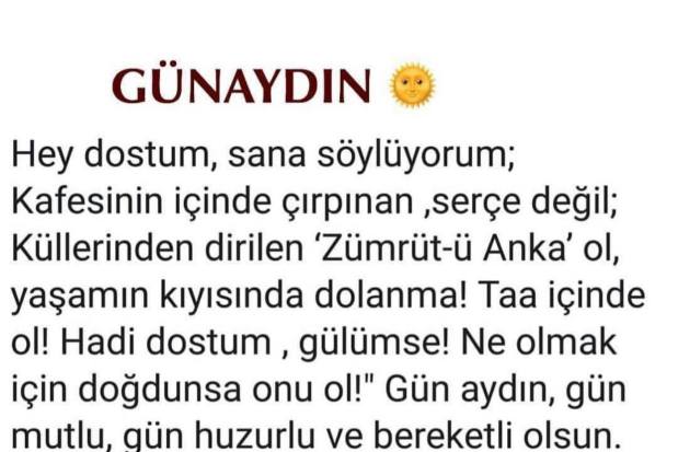 anette inselberg günaydın