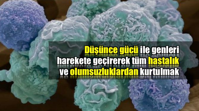 anette inselberg genetik düşünce kodlama