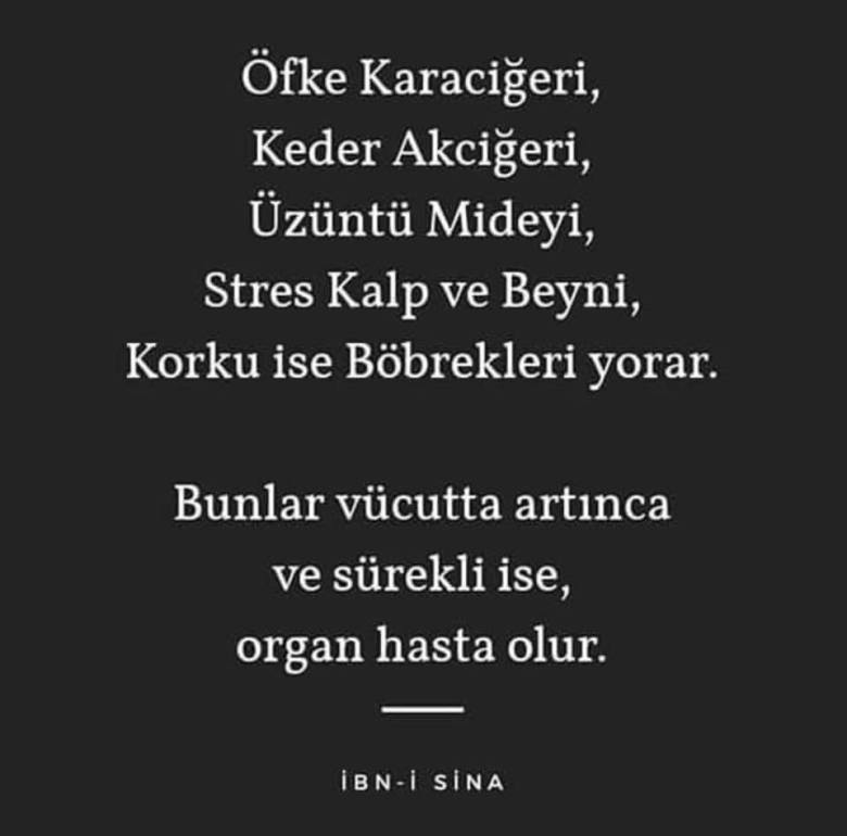 58679376_1271215216380914_7457664363894145024_n[1]