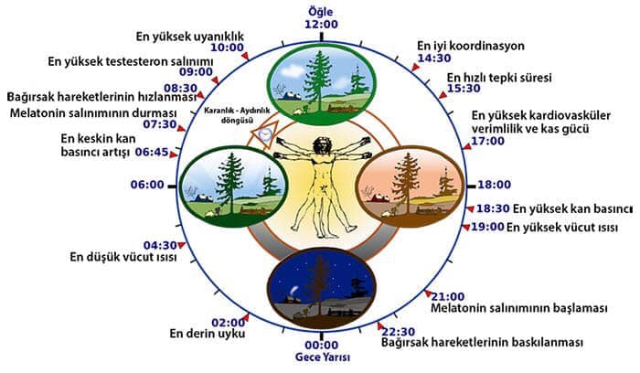 59295571_1273348229500946_7473077305007407104_n[1]