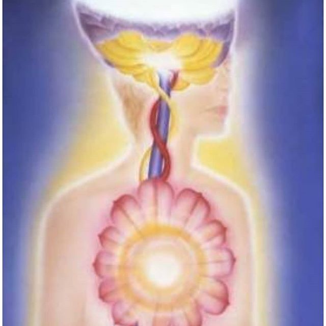 ANETTE İNSELBERG KALP