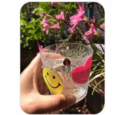 ANETTE İNSELBERG SADECE BUGÜN MUCİZEDİR