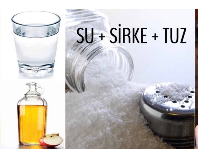 anette-inselberg-su-tuz-sirke-arc4b1nma-mucize-kapc4b1[1]