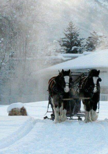 81825095_1457878337719730_1497390122402840576_n[1]