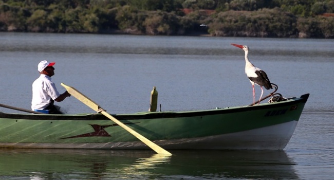 balikci-adem-ile-leylek-yaren-in-6-yillik-dostlugu-86008-59d5e842ef36a[1]