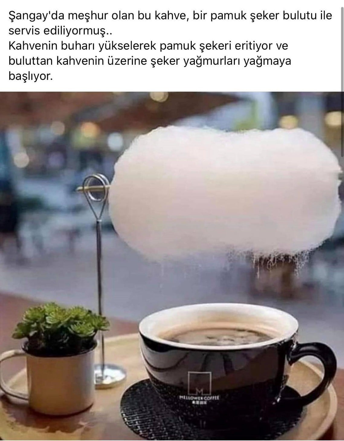 104814192_10158376934585688_1510484176565393519_o[1]