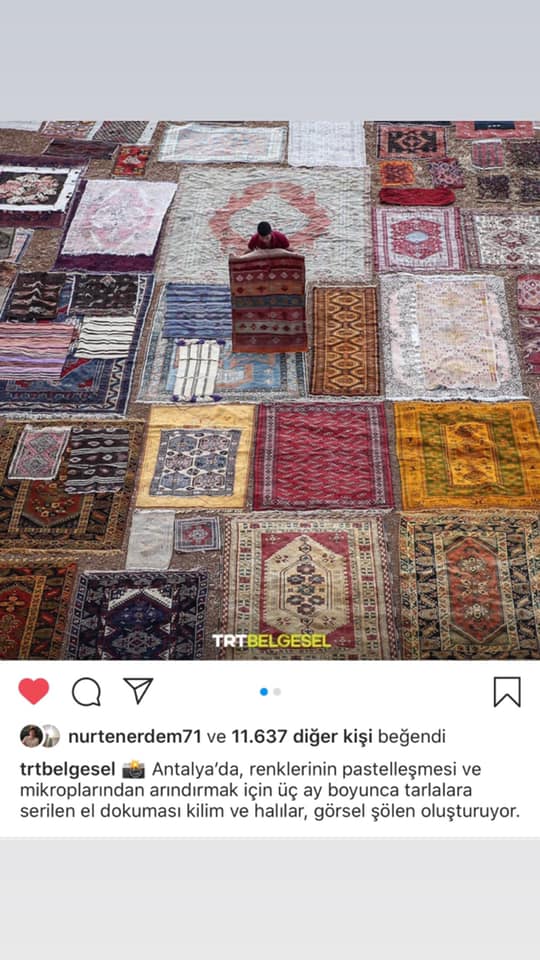 104905358_2970721733040789_8282979093352717799_n[1]