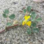 56920223_2427147080852106_8612155155061669888_o[1]